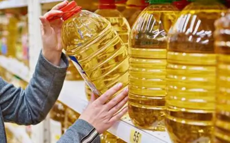 الحكومة: منع تصدير سلع غذائية أساسية