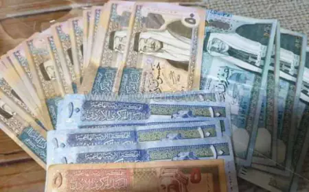 "الضمان الاجتماعي" سنلاحق مطلقي الشائعات  قانونيا