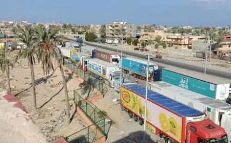 السيسي: إسرائيل تعرقل وصول المساعدات إلى غزة
