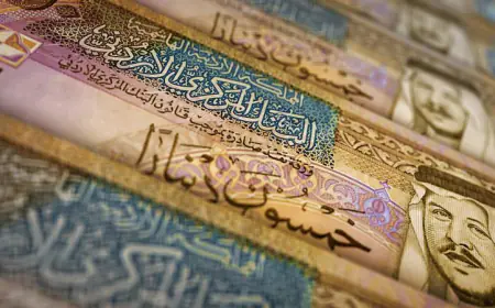 ارتفاع الإيرادات المحلية