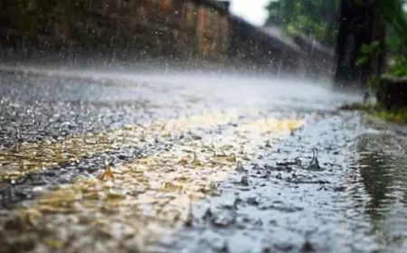 أمطار غزيرة تعم مناطق المملكة