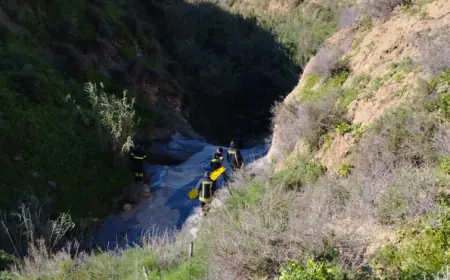 الدفاع المدني ينقذ شخصاً سقط في أحد الأودية باربد