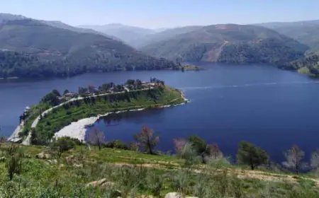 "المياه والري" : الهطولات المطرية ترفع الموسم المطري