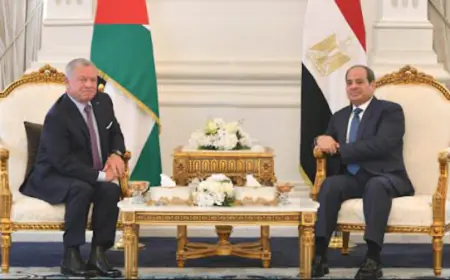 الملك والسيسي يؤكدان ضرورة الاستمرار بالضغط لوقف إطلاق النار في غزة