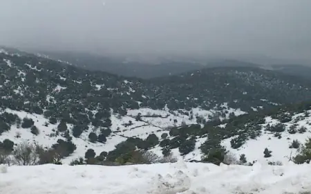 بالفيديو.. تساقط للثلوج في عجلون