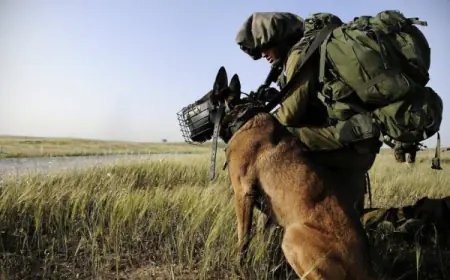 ظاهرة جديدة تواجه جيش الاحتلال في قطاع غزة