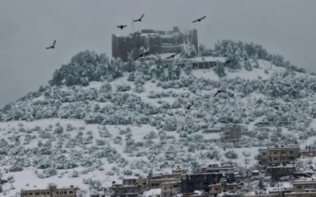 تساقط الثلوج في عجلون