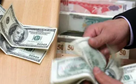 بعد قرار البنك المركزي..  دولار السوق السوداء في مصر  يتراجع