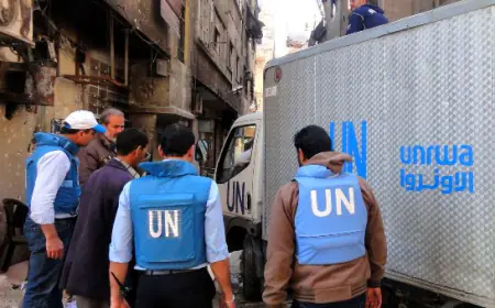 الحكومة قلقة من توقف خدمات الأونروا في المملكة