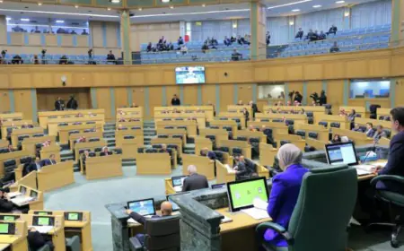 استيراد الأسلحة والذخائرعلى طاولة اللجنة النيابية