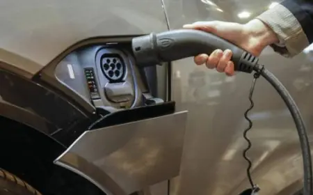 المناطق الحرة : 70% حصة التخليص على المركبات الكهربائية الشهر الماضي