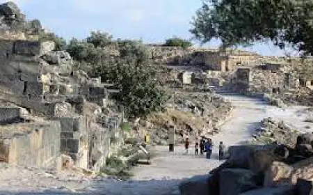أكثر من 136 ألف زيارة للمواقع السياحية في الأردن الشهر الماضي