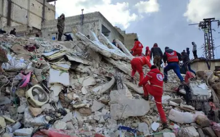 بعد مرور عام على الزلزال المدمر.. دعوات لزيادة المساعدة إلى سوريا