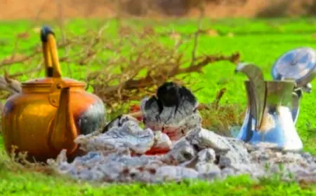 حالة الطقس .. اليوم وغداً (التفاصيل)