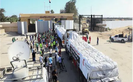ميناء رفح يستقبل 65 جريحاً.. وادخال 115 شاحنة مساعدات  لـ غزة