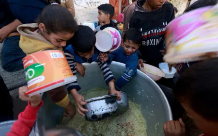 "فاو": مستويات غير مسبوقة من انعدام الأمن الغذائي في غزة