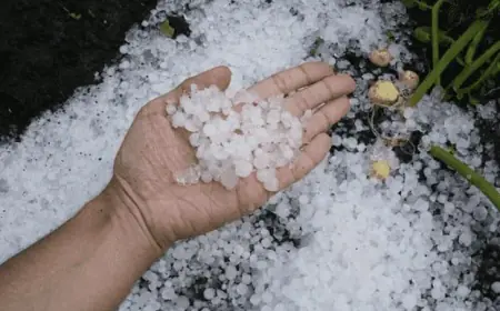 محافظة معان تشهد تساقط للبرد