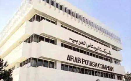 بلغت ارباح البوتاس لعام 2023 قرابة  "293" مليون دينار