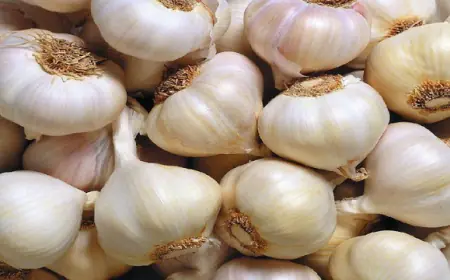 الزاعة تدعو المواطنين لشراء المنتج المحلي