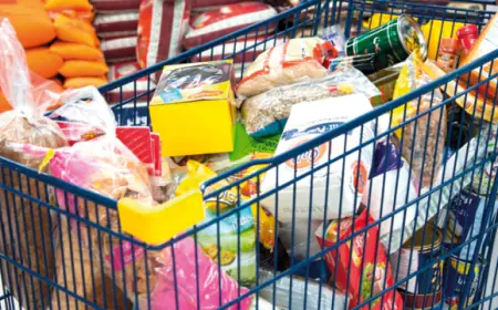 الشمالي:  استهلاك الثوم ليس كبيرا.. ومطمئن لوجود بدائل للحوم قبل رمضان