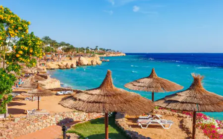 كم بلغ عدد الأردنيين المغادرين للسياحة خارج المملكة؟