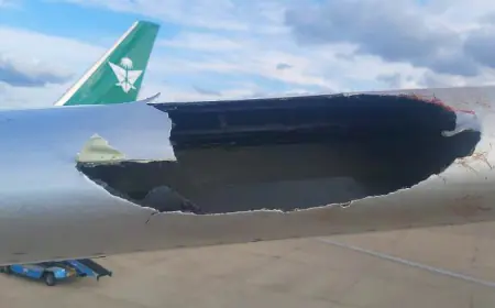 اصطدام طائر بطائرة الخطوط الجوية  السعودية