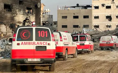 الصحة العالمية : ضرورة إجلاء 8 آلاف مريض من غزة