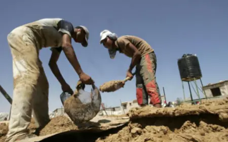 خبير اقتصادي : الحكومة لم تنجح  في إحلال العمالة المحلية مكان الوافدة