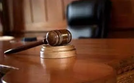 "الدستورية" ترد طعناً بمادة في قانون نقابة المحامين