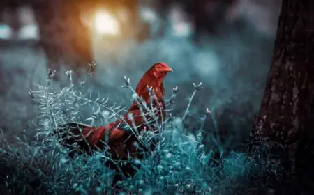 الشوبك.. بعدسة إسراء البدور