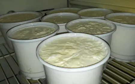 بعد كمين محكم.. ضبط مصنع ألبان يستخدم حليب مجفف وكازينات الصوديوم