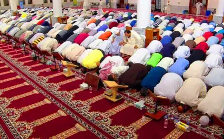 تحديد عدد ركعات صلاة التراويح