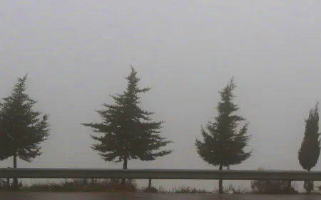 اعلان حالة الطوارئ في غرف عمليات البلديات