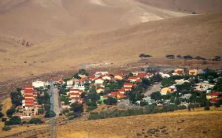 الأردن: يدين قرار اسرائيلي بمصادرة 8 آلاف دونم من الأغوار الفلسطينية