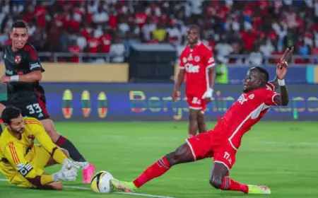 بهدف كوكا..الأهلي المصري ينجح بفك عقدة سيمبا