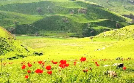 درجات الحرارة أعلى من معدلاتها حتى.. الأربعاء