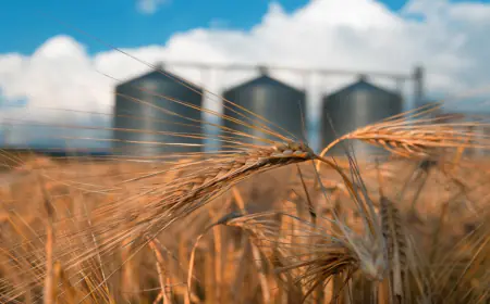 أربعة  شركات تستفيد من  تخفيض الأسعار التخزينية في الصوامع