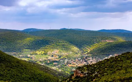 أجواء لطيفة نهارا.. وباردة ليلا في أغلب مناطق المملكة