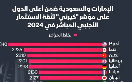 الإمارات  الثامنة عالميا.. والسعودية تتقدم في مؤشر ثقة  الاستثمار الأجنبي