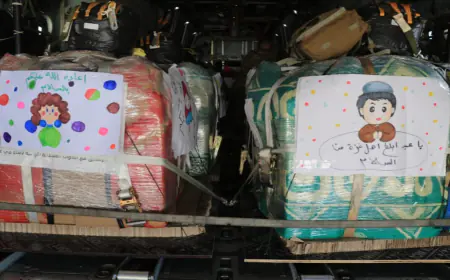 الجيش ينفذ أضخم عملية إنزال مساعدات على غزة