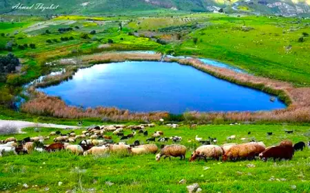 الأردن.. الحرارة أعلى من معدلاتها بـ 7 درجات