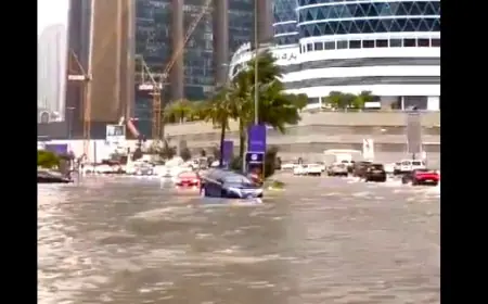 فيديو.. الأمطار تغرق شوارع  دبي
