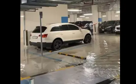 الأمطار تداهم مول الامارات.. فيديو