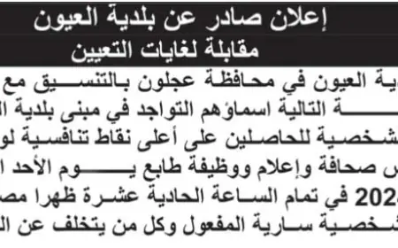 مقابلات لغايات التعيين في بلدية العيون (أسماء)