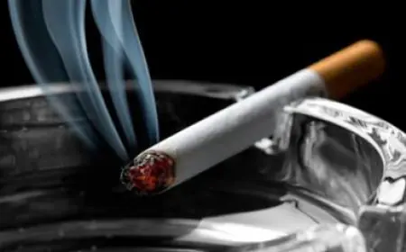 كانت مخبأة داخل إحدى برادات الشحن.. إحباط تهريب 6600 كروز دخان