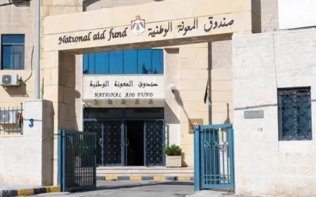 كم بلغ عدد الأسر المستفيدة من برامج المعونات المالية الشهرية في إربد العام الماضي؟