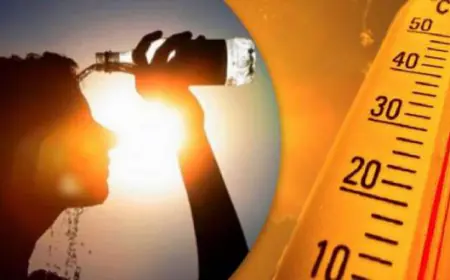الخميس.. الحرارة أعلى من معدلاتها بـ 12 درجة