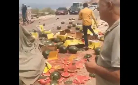 فيديو.. حادث مروع على طريق البحر الميت