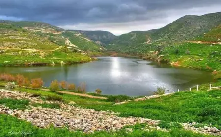 الأردن.. طقس دافئ حتى السبت المقبل