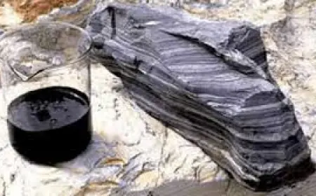 إرادة ملكية بإلغاء قانون التصديق على اتفاقية امتياز التقطير السطحي للصخر الزيتي